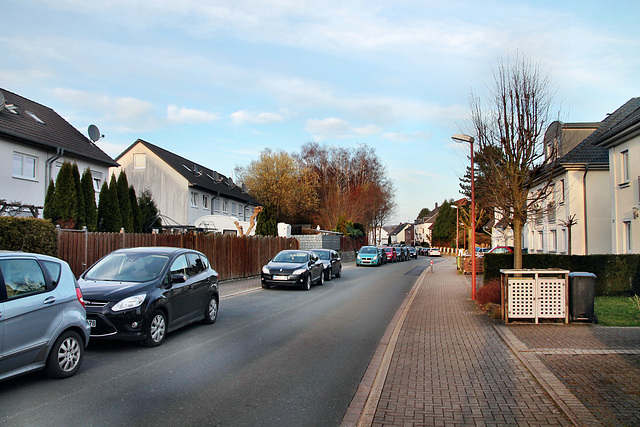 Geisecker Talstraße (Schwerte-Geisecke) / 9.03.2024