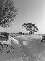 Christmas winter landscape