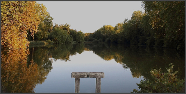 hier soir en forêt de compiegne ..... pas de doute, l' automne arrive !!