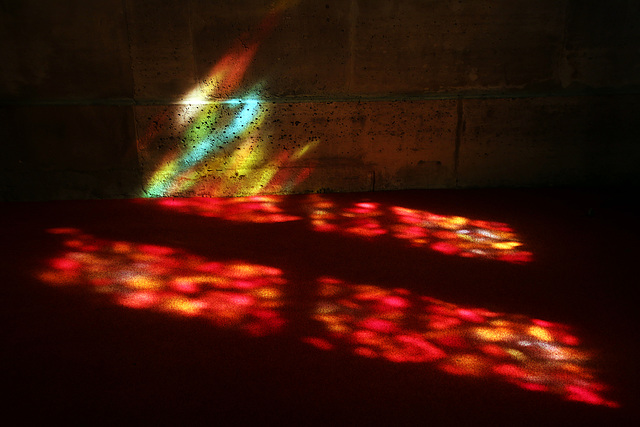 Un tapis rouge pour le festival des lumières