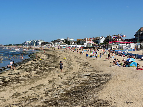 Courseulles-sur-Mer.............Bon dimanche à vous !