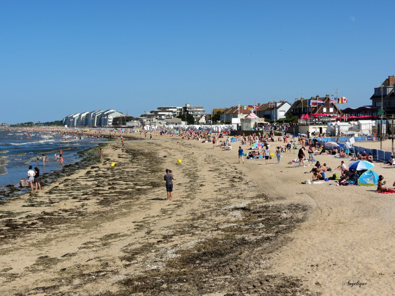 Courseulles-sur-Mer.............Bon dimanche à vous !