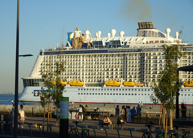 Cruises: agents of pollution