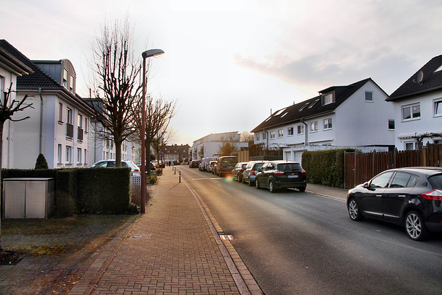 Geisecker Talstraße (Schwerte-Geisecke) / 9.03.2024