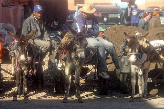 In the streets of Marrakesh