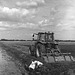 Tractor in the paddy