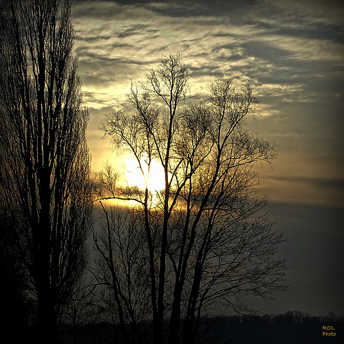 Coucher....,  dans les arbres....