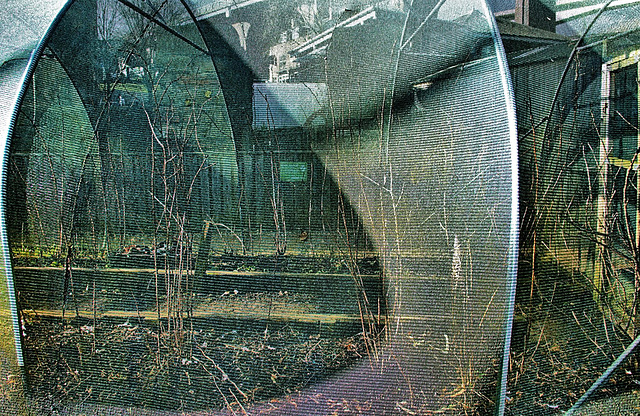 Poly Tunnel.Byker City Farm Poly Tunnel.Byker City Farm