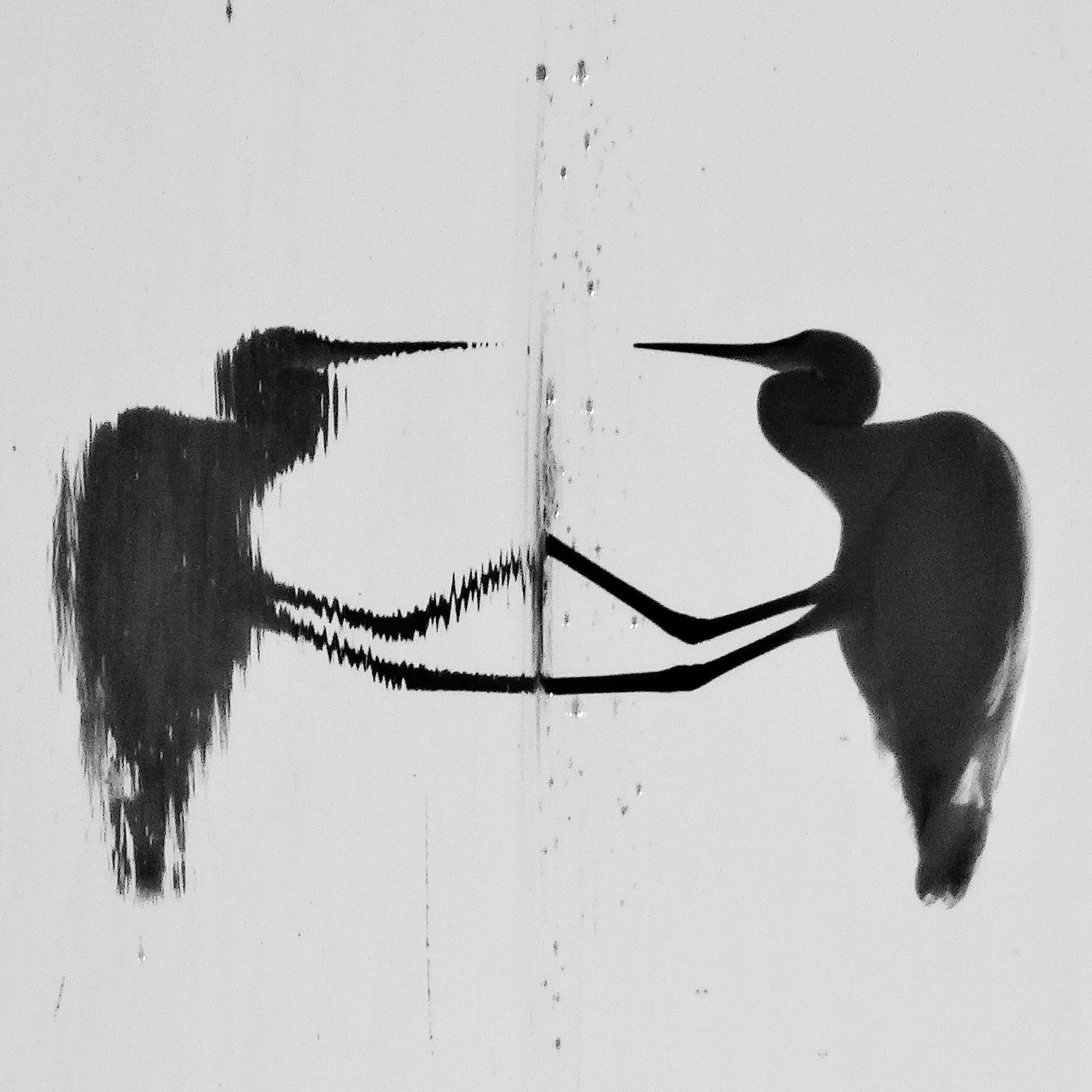 Rorschach Test (What do you see?) (PiP)