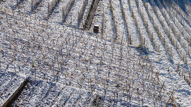 211203 Montreux neige