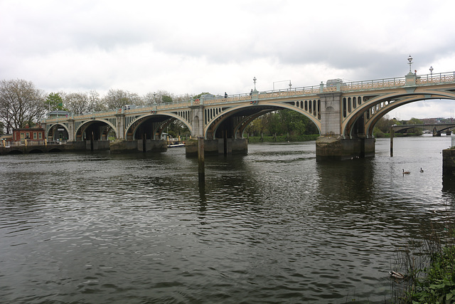 The Thames Path - Teddington to Kew Bridge, north bank