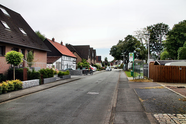 Nicolaus-Ehlen-Straße (Hamm) / 6.07.2024