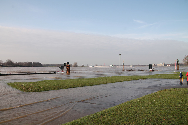 Die Mühlenweide während des Rheinhochwassers (Duisburg-Ruhrort) / 8.02.2020