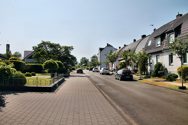 Droste-Hülshoff-Straße (Dorsten) / 27.05.2023