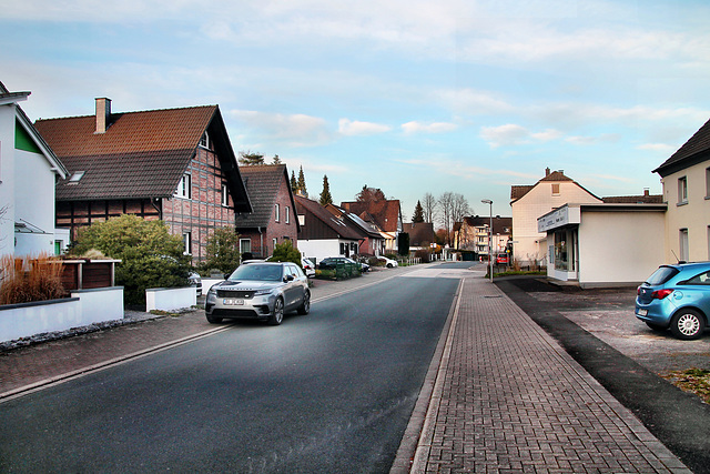 Geisecker Talstraße (Schwerte-Geisecke) / 9.03.2024