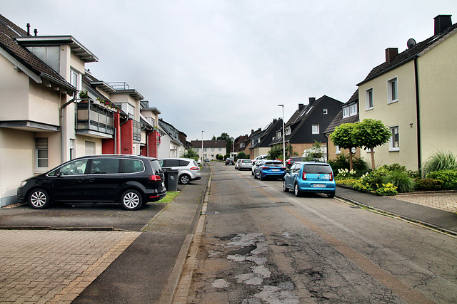 Letterhausstraße (Hamm) / 6.07.2024