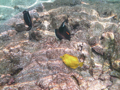 PICT0398.JPG