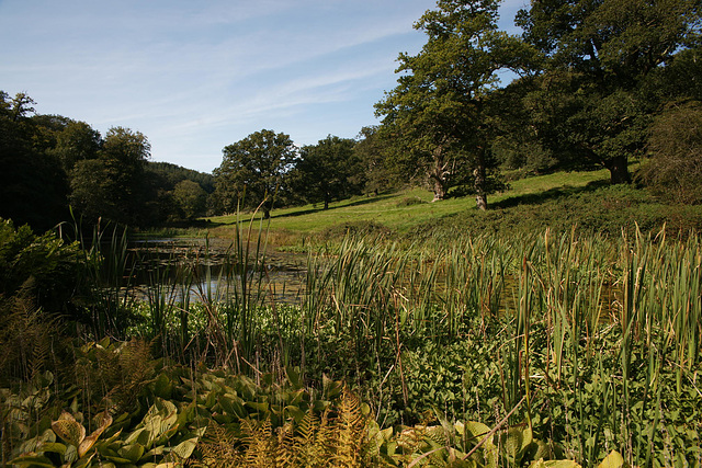 River Stour At Stourhead