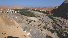LR-1040244