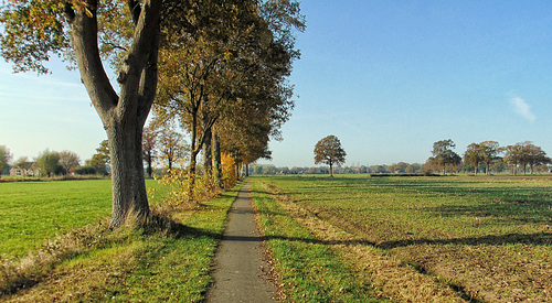 DSC00657