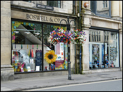 Boswell blooms