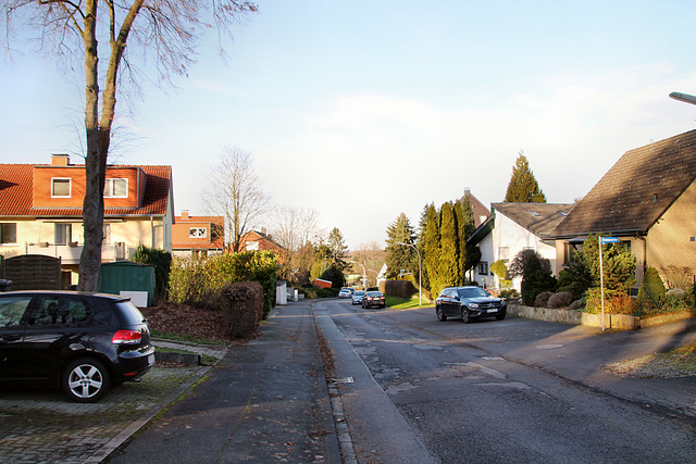 Hohlweg (Unna-Mühlhausen) / 12.02.2022