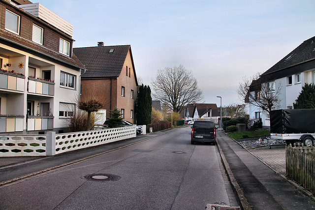 Am Hermannsbrunnen (Schwerte-Geisecke) / 9.03.2024