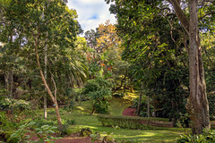 Ponta Delgada Ponta Delgada