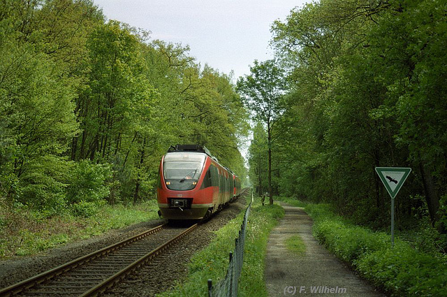 BÖ0010038