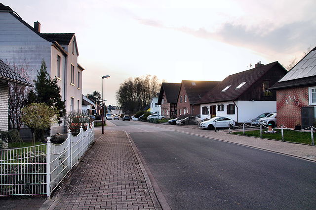 Geisecker Talstraße (Schwerte-Geisecke) / 9.03.2024