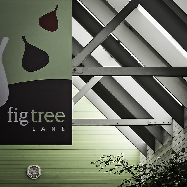 figtree