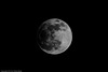 Mond