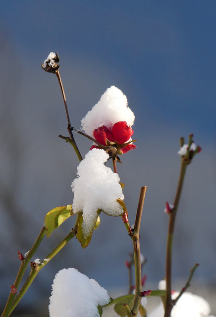 Schnee von gestern...