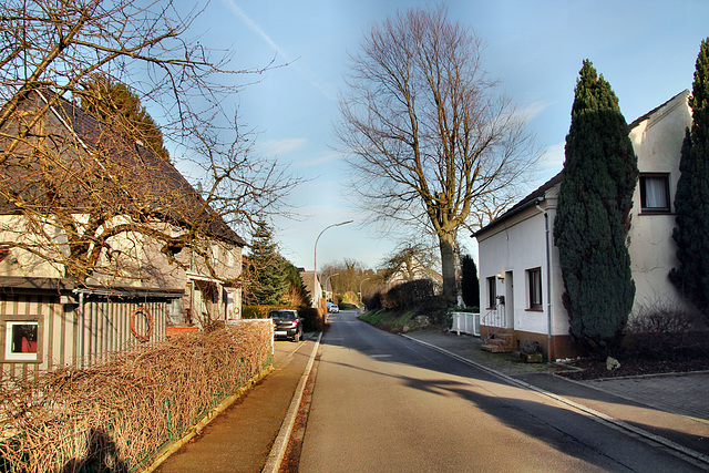 Krummacker (Unna-Mühlhausen) / 12.02.2022