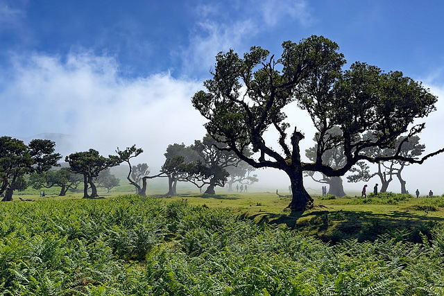 Madeira, Portugal