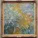 Path Through the Irises by Monet in the Metropolitan Museum of Art, May 2011