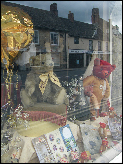 Teddy reflections