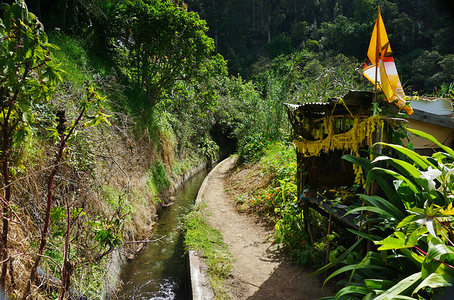 Wanderweg entlang der Levada do Tornos - Trail along the Levada do Tornos