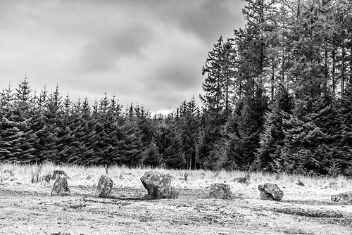 Fernworthy Stone Circle- 20160319