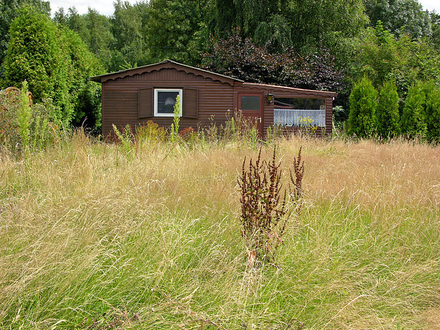 Gartenidylle 1:  Ökofan