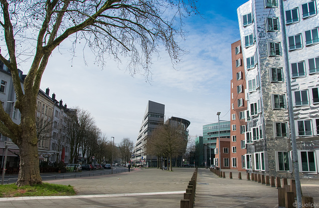 Gehry-Bauten im Medienhafen Düsseldorf (© Buelipix)