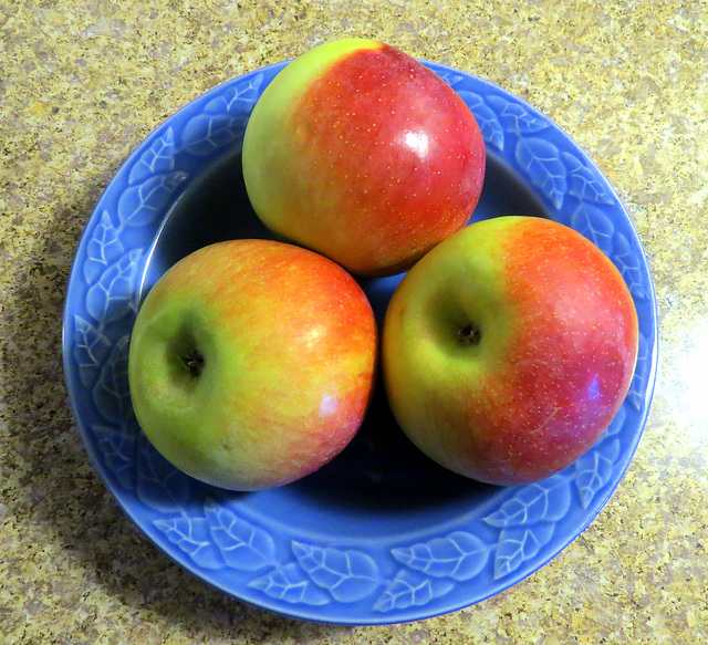 Locally grown 'Empire' apples