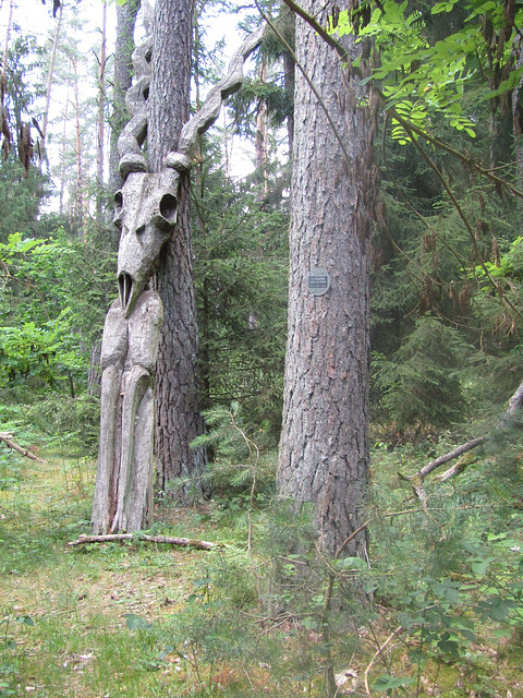 ein Waldschrat ?