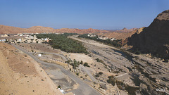 LR-1040246