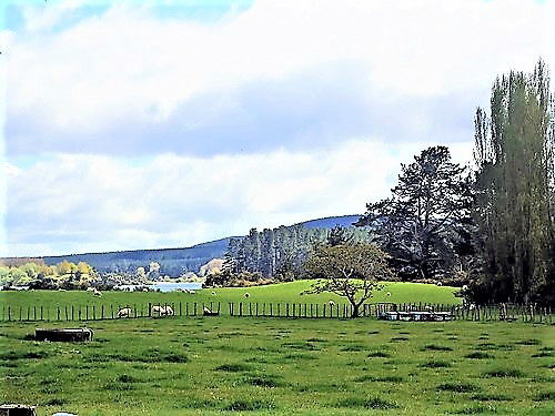 Farm By The Lake.