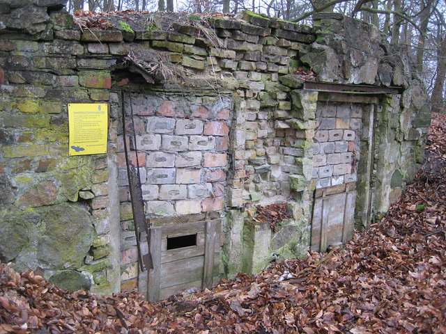 Horstmühle - Fledermausquartiere