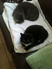 IMG 0840