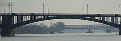 Bridges - Rhine