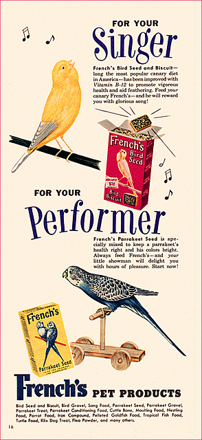 French's Canary & Parakeet Food Ad, 1954