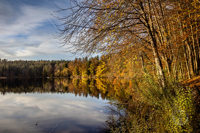 Herbst am Hackensee ++ Autumn at Hackensee